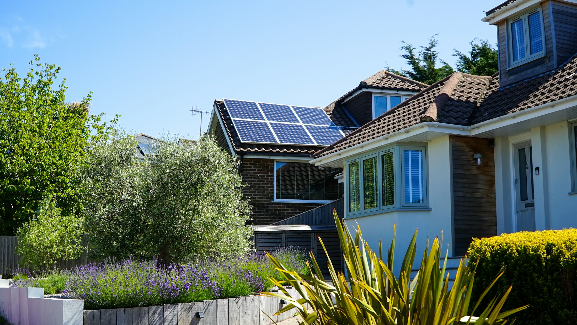 Brick home with a small rooftop solar array above a garden of lavender and olive trees